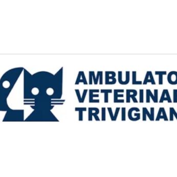 Ambulatorio in provincia di venezia ricerca un tecnico veterinario da inserire nello staff