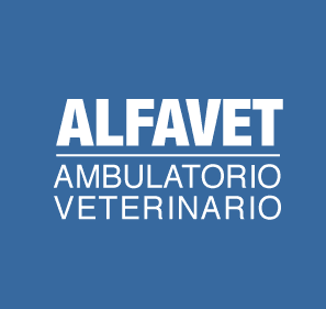 ALFAVET - AMBULATORIO VETERINARIO