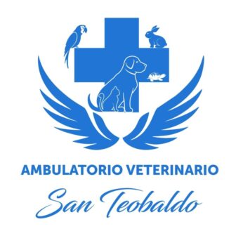 Ambulatorio Veterinario San Teobaldo