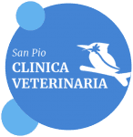 Clinica Veterinaria San Pio - Cerca un Tecnico veterinario