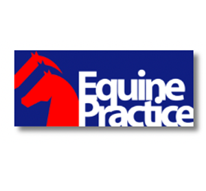 Clinica per cavalli Equine Practice