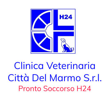 Clinica Veterinaria Città Del Marmo cerca Tecnico Veterinario Junior diplomato Abivet