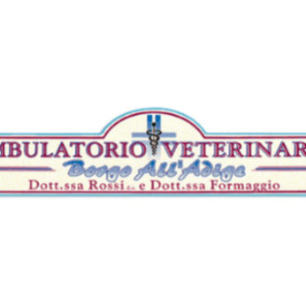 Ambulatorio Veterinario Borgo all'Adige è alla ricerca di un tecnico veterinario
