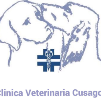 Clinica veterinaria cusago selezione una figura di tecnico veterinario