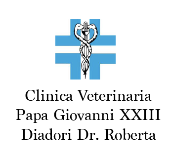 Clinica Veterinaria Papa Giovanni XXIII cerca tecnico veterinario