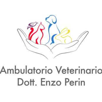 Ambulatorio Veterinario S.Urbano a Godega di Sant'Urbano (Treviso) cerca tecnico veterinario da inserire nello staff