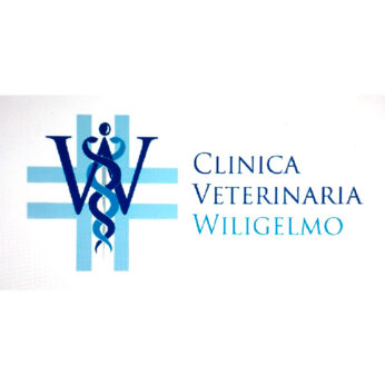 La clinica veterinaria Wiligelmo di Modena ricerca urgentemente tecnico veterinario