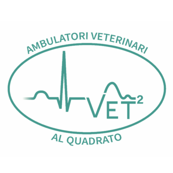 Ambulatori Veterinari al Quadrato