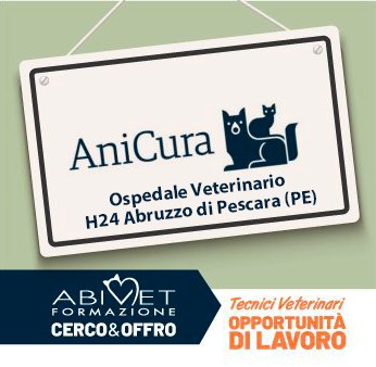 Ospedale Veterinario H24 Abruzzo di Pescara (PE)