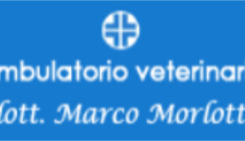 Ambulatorio veterinario Dr.Morlotti Marco