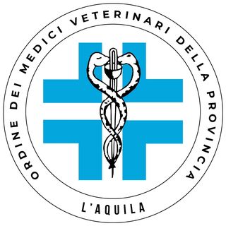Clinica Veterinaria Amiternum