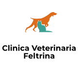 Clinica Veterinaria Feltrina