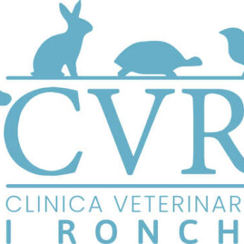 Clinica Veterinaria I Ronchi